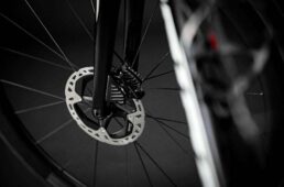 メリダ・スクルトゥーラ V