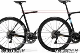 メリダ・スクルトゥーラ V