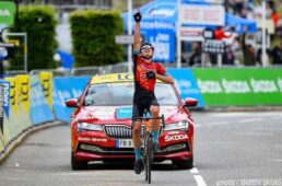 メリダ・スクルトゥーラ V