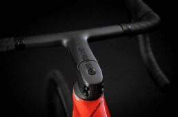 メリダ・スクルトゥーラ V