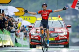 メリダ・スクルトゥーラ V