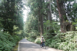 日光街道の舗装された区間