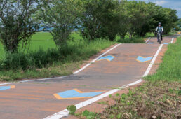 りんりんロード名物の波打つ区間