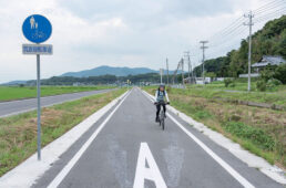 りんりんロード