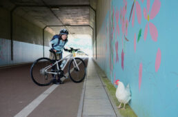 東条さんとニワトリ