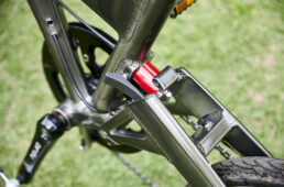 バーディースタンダードのリヤサス