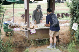 地場産野菜の屋台