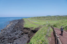 サンセットパームライン