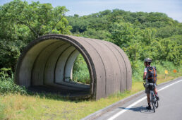 大島一周道路沿いのシェルター