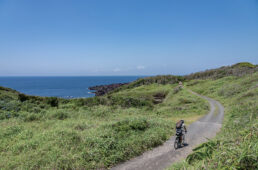 大島一周道から分岐する細道