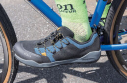 テラエルゴレース