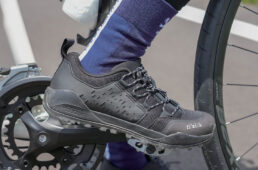 テラエルゴレース