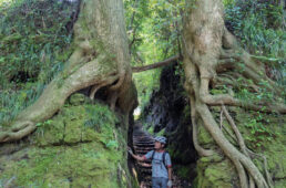 泉津の切り通し