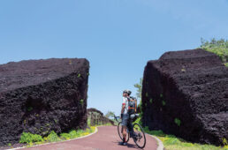 サンセットパームライン