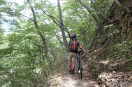 自転車を押し歩き