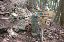 むかし道の道標