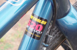 テラのフレーム