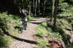 むかし道序盤の砂利道