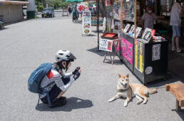 香取神宮の表参道