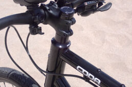 コーダネオイストのステム