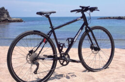 コーダネオイスト