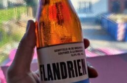 別府史之が見た世界19