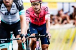 別府史之が見た世界19