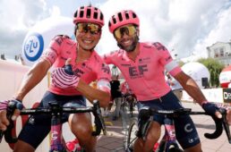 別府史之が見た世界19