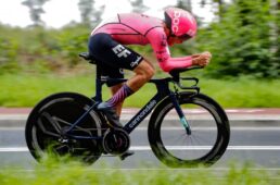 別府史之が見た世界19