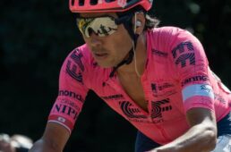 別府史之が見た世界19