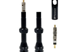 パナレーサーのチューブレスバルブ