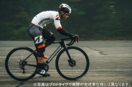 ブリヂストン・アンカー RP9