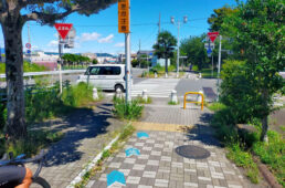 清水駅から先の太平洋岸自転車道