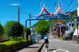 由比桜えび通り