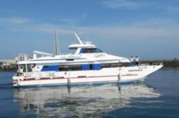 深日洲本ライナー