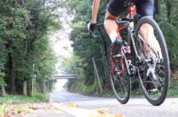 自転車協会　ディスクロード