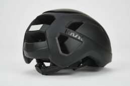 ワサビの後方部