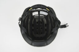 ワサビの帽体内部