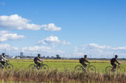 飯島誠さん/おおやようこさんがガイドする“埼玉の田舎”サイクリングツアー