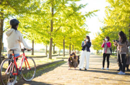 写真映えするスポットも多数