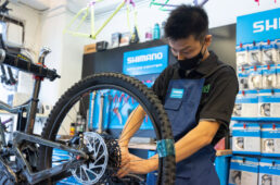 スタッフの伊東光さん