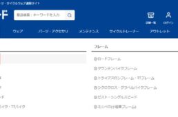 バイオレーサーイージー