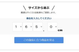 バイオレーサーイージー
