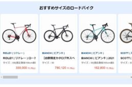 バイオレーサーイージー