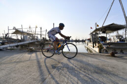 大阪岬一周コース