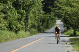 大阪南部丘陵コース