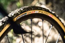 チャレンジ・ハンドメイドチューブレスレディCXタイヤ