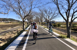 りんりんロード