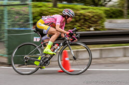 フェルト　 唐見実世子