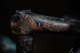 スペシャライズド・「エートス」NFT作品